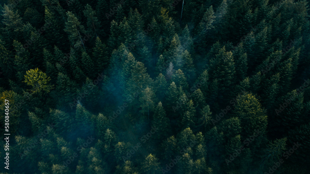 Fototapeta premium Beautiful view of a mountains. Bieszczady mountains, Poland.