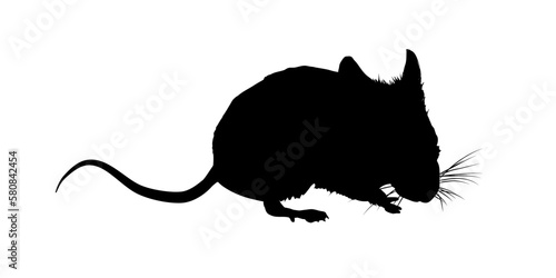 Mouse silhouette