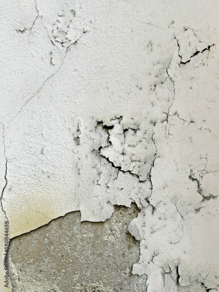 Fototapeta premium Wall with mold and peeling paint