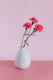 Beautiful pink Carnation flowers in a vase on a pink pastel background.