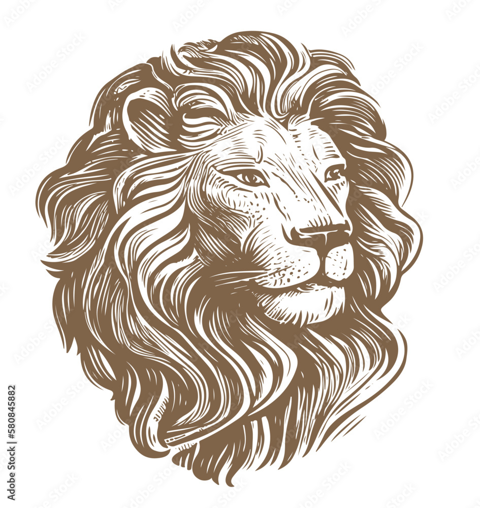 Lion head with mane, sketch style. Animal portrait. Generative AI, vintage vector illustration - obrazy, fototapety, plakaty 