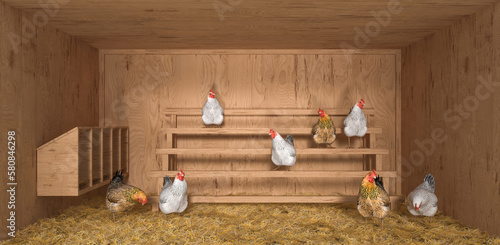 chicken coop with hens made of new wood lined with hay
