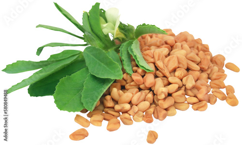 Fenugreek leaves with seeds photo