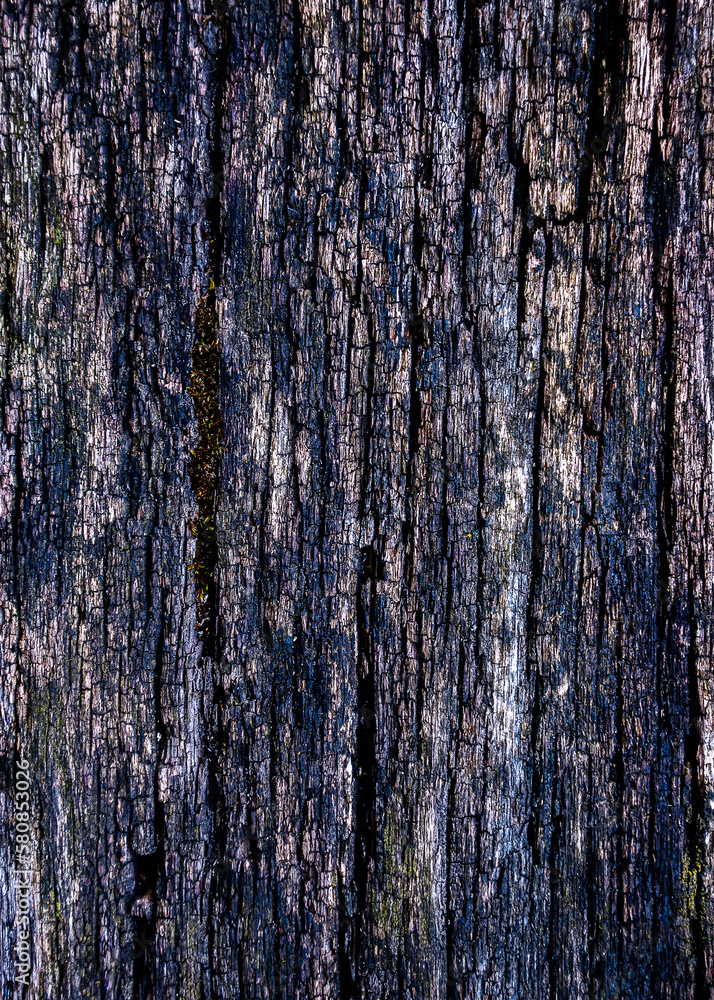 Obraz premium texture