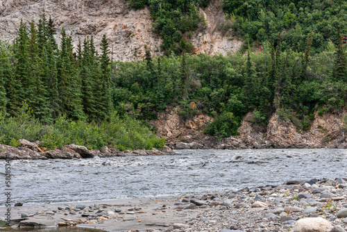 Denali Park, Alaska, USA - July 24, 2011: Fast streaming Nenana River over gray rocks, sand and pebbles. Belt of green trees behind and beige rocky mountain flank