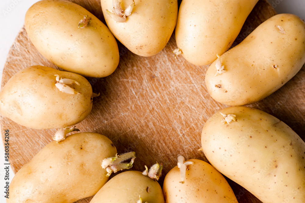 Beginning to sprout potato tubers on wooden background. Beginning to sprout potato tubers on wooden background.
