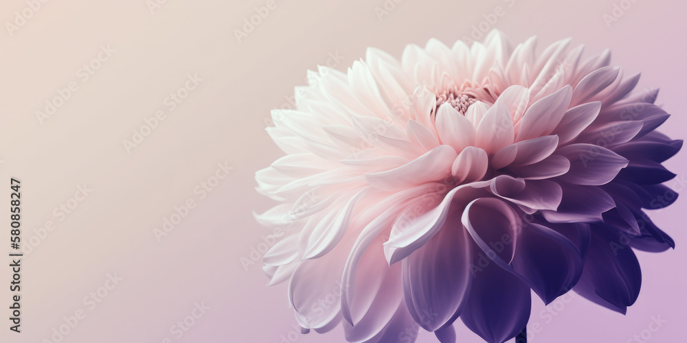 Obraz premium Flowr on pastel colored background, Generative AI