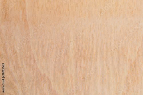 Light rough textured cut surface of an African tree. Wood background or blank for design