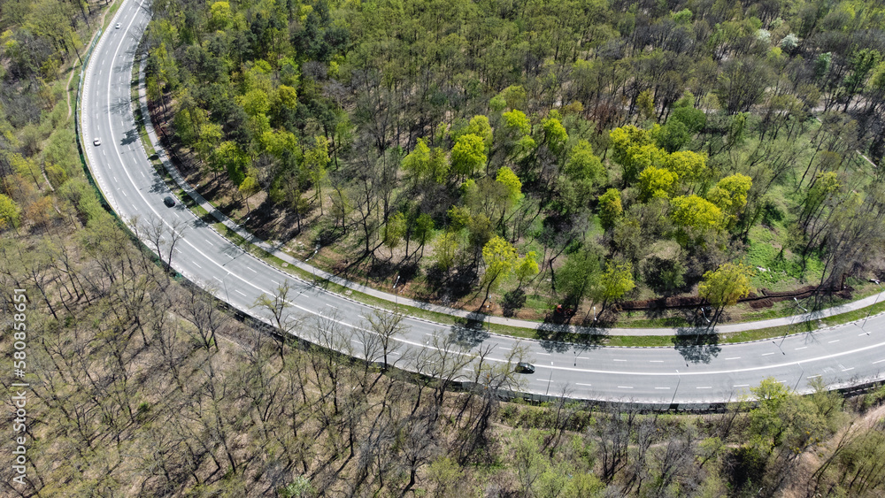 Fly above spring road curve in greenery. Cars driving sunny highway surrounded by forest with young green leaves. Aerial look down view