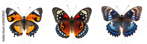 Butterfly collection transparent or white background  © GHart