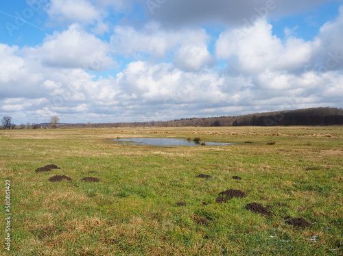 mecklenburg- vorpommern, germany, landscape