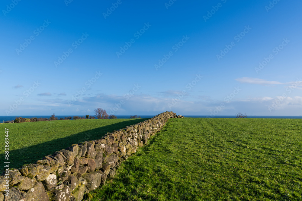 A stone wall divides two fields of green grass in Northern Ireland A stone wall divides two fields of green grass in Northern Ireland