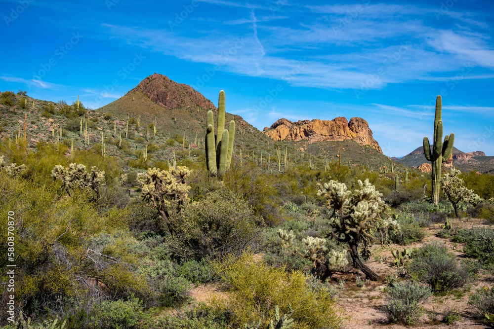 Superstition Mountains in Central Arizona, America, USA. Superstition Mountains in Central Arizona, America, USA.