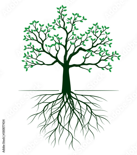 Shape of Green Tree with Leaves and Roots. Vector outline Illustration. Plant in Garden.