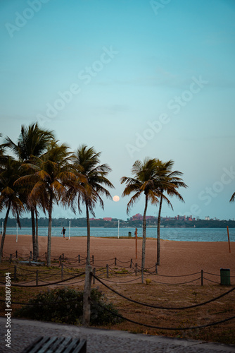 Praia de camburi ao anoitecer com vista da lua entre as palmeiras com ceu azul 