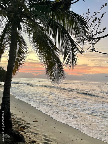 palm trees on the beach with sunset Magazine Beach Grenada