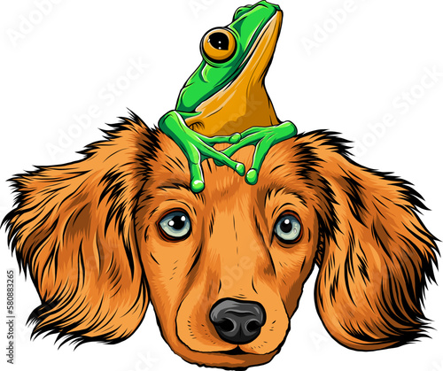 dog and frog cartoon vrctor design photo