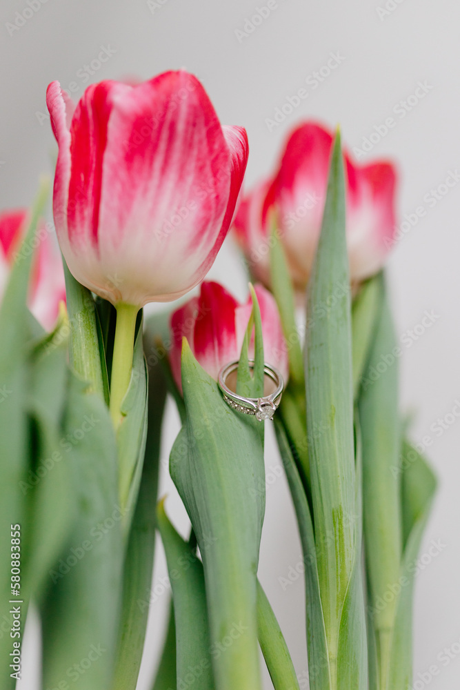 Naklejka premium Pink tulips and engagement rings with diamonds on white background. Background for Valentine's Day. Gift for Mother's Day, international Women's Day, March 8th. Spring Mock ups. Space for text