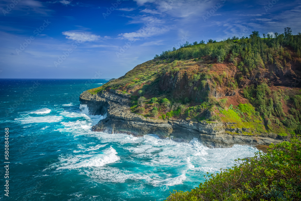 Fototapeta premium Hawaiian Islands