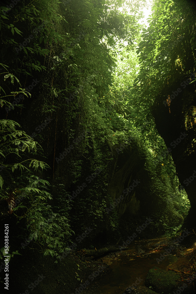Obraz premium Waterfall and mountain river in the jungle, Bali.