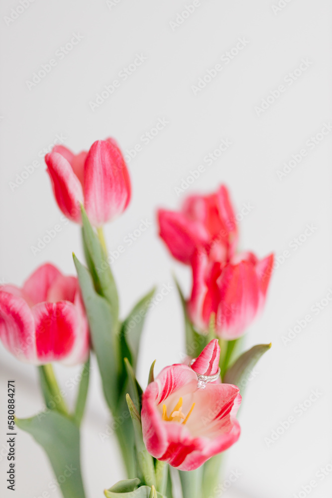 Fototapeta premium Pink tulips and engagement rings with diamonds on white background. Background for Valentine's Day. Gift for Mother's Day, international Women's Day, March 8th. Spring Mock ups. Space for text