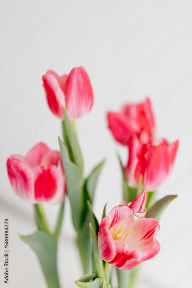 Fototapeta premium Pink tulips and engagement rings with diamonds on white background. Background for Valentine's Day. Gift for Mother's Day, international Women's Day, March 8th. Spring Mock ups. Space for text