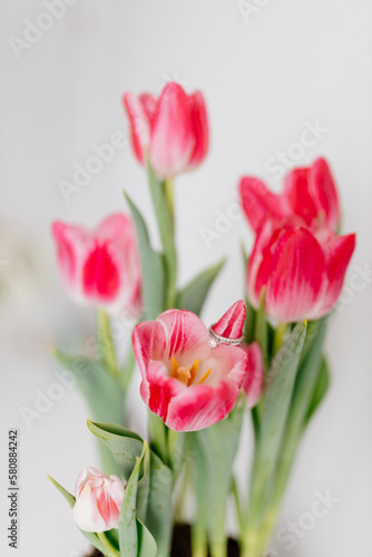 Fototapeta Naklejka Na Ścianę i Meble -  Pink tulips and engagement rings with diamonds on white background. Background for Valentine's Day. Gift for Mother's Day, international Women's Day, March 8th. Spring Mock ups. Space for text