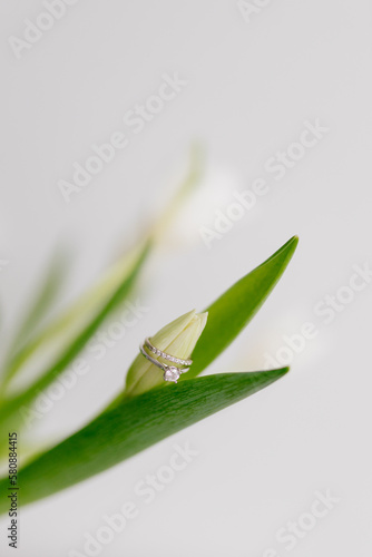An engagement ring in white gold with a diamond lies in a bouquet of white tulips on white background. Gift for Women's Day, Valentine's Day. Beautiful spring background with green leaves. Mock up