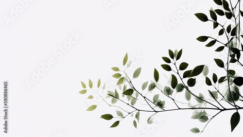 Green leaf branches over white background with copy space for text. Generative AI illustration