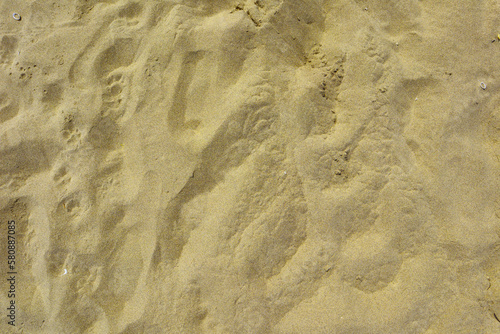 Texture of the sand on the beach as a background