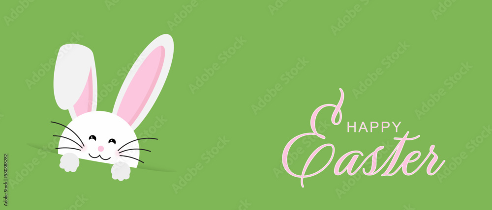 Easter rabbit, easter Bunny. Vector illustration. Easter Day. Happy Easter greeting card, banner with egg, rabbit. Easter Bunny, texture background. Easter rabbit, easter Bunny. Vector illustration. Easter Day. Happy Easter greeting card, banner with egg, rabbit. Easter Bunny, texture background.