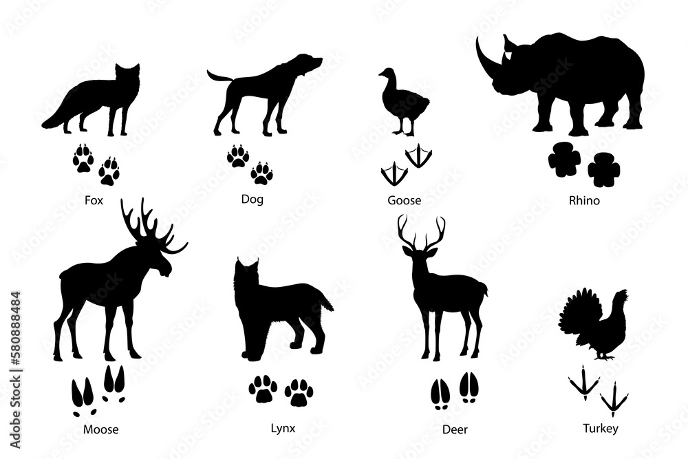 Animal footprints and silhouettes of wild fox, pet dog and birds