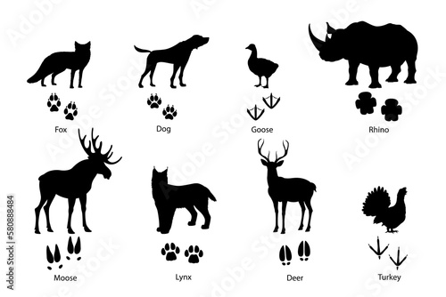 Animal footprints and silhouettes of wild fox  pet dog and birds  vector paw prints with claws. Deer or moose elk  rhinoceros and lynx  turkey or goose foot prints  wild animals and birds silhouettes