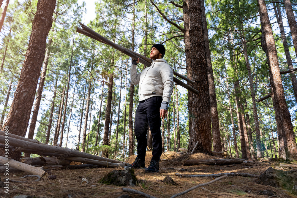 Obraz premium Hombre cargando troncos de madera en un bosque de forma erguida 