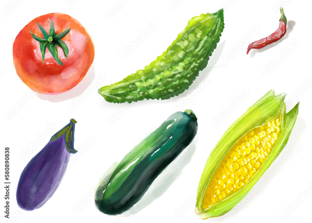 夏野菜
Summer vegetable 夏野菜
Summer vegetable