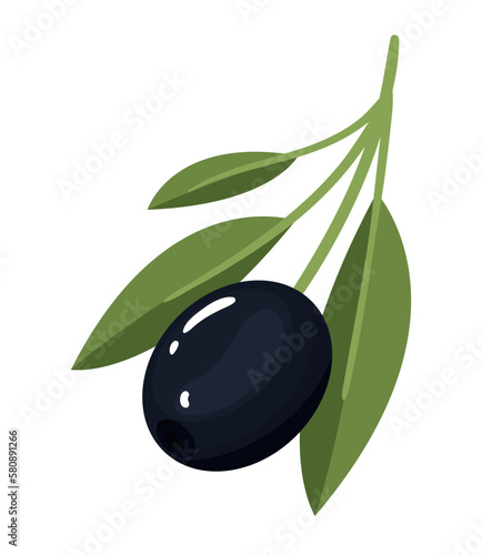 olive branch leaf