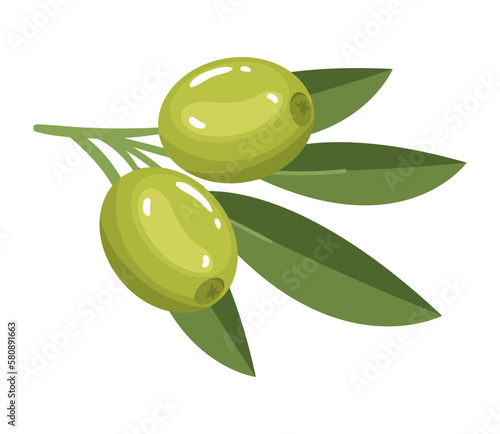 tree olive and foliage