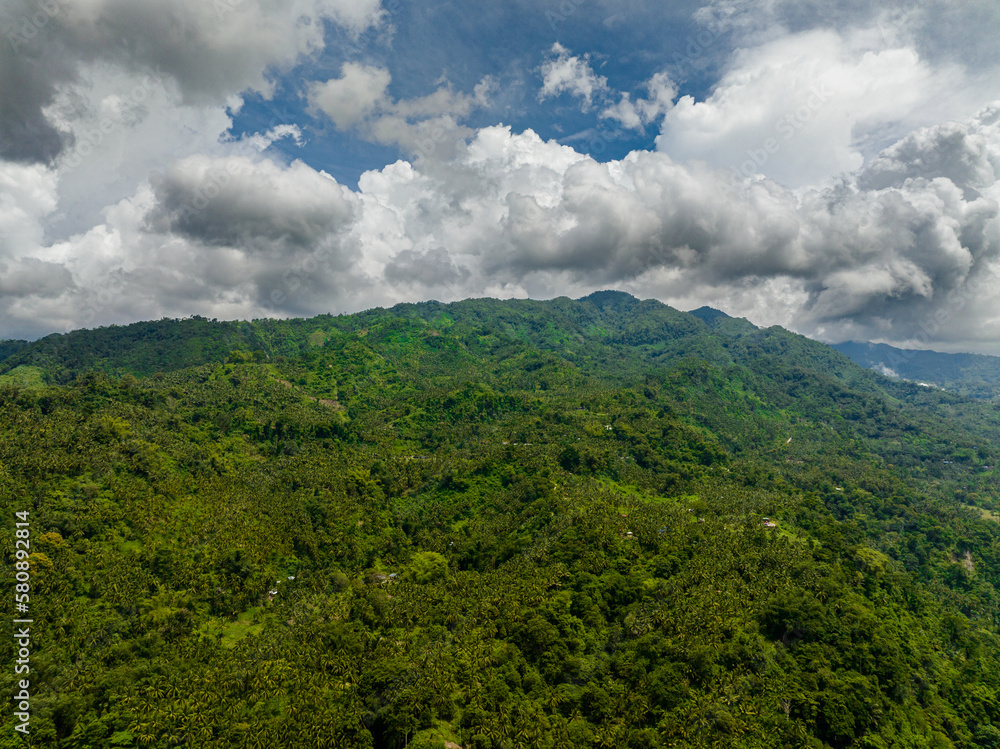 Mountains and hills with green vegetation and trees in the tropics. Negros, Philippines