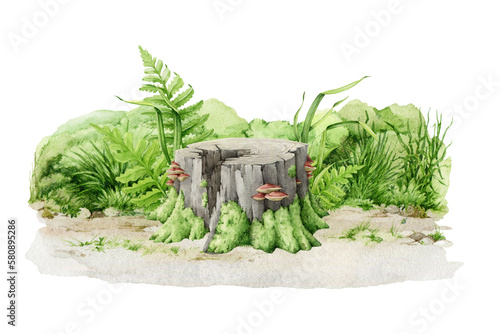 Mossy stump with green grass, fern, wild pants and herbs. Watercolor illustration. Tree trunk with mushrooms on it green moss, grass, fern around. Wood stump forest, park landscape scene element