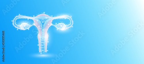 Female uterus anatomy form line triangles connecting on blue background. Futuristic glowing organ hologram translucent white and copy space for text. Medical anatomical concept. Modern design vector. photo