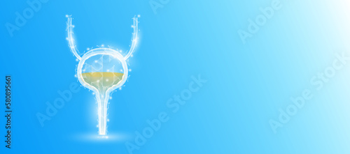 Human bladder anatomy form line triangles connecting on blue background. Futuristic glowing organ hologram translucent white and copy space for text. Medical anatomical concept. Modern design vector.