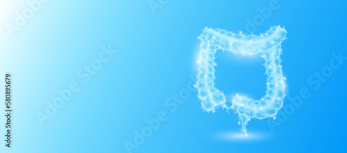 Human intestine anatomy form line triangles connecting on blue background. Futuristic glowing organ hologram translucent and copy space for text. Medical anatomical concept. Modern design vector.