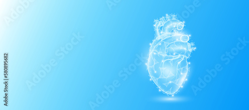 Human heart anatomy form line triangles connecting on blue background. Futuristic glowing organ hologram translucent white and copy space for text. Medical anatomical concept. Modern design vector.