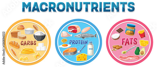 Macronutrients diagram with food ingredients