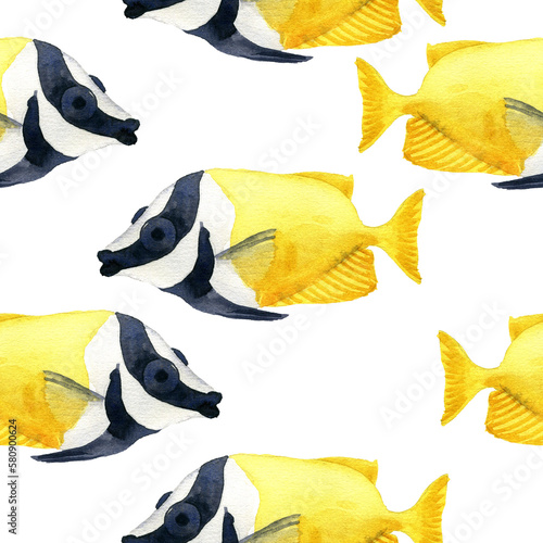 watercolor drawing seamless pattern with tropical fish, foxface rabbitfish at white background, marine angelfish, hand drawn illustration photo