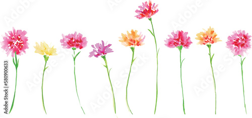 水彩画。水彩タッチのカーネーションベクターイラスト。母の日の花イラスト。Watercolor painting. Carnation vector illustration with watercolor touch. Mother's day flower illustration.