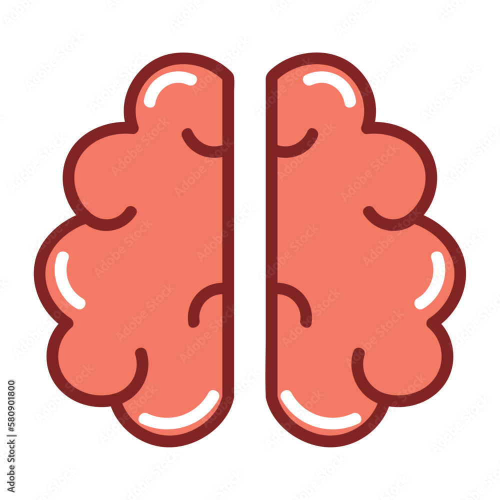 brain human body brain human body
