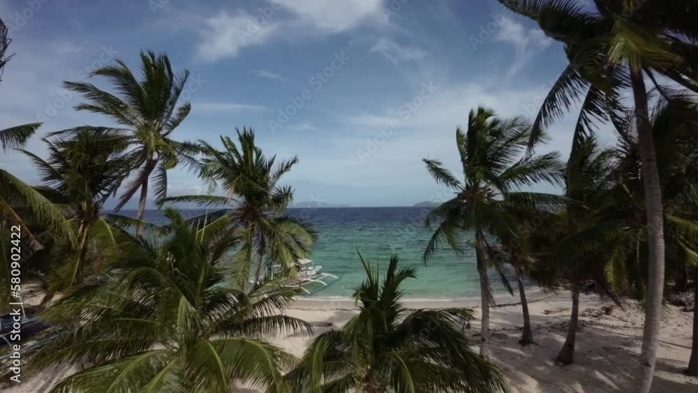 Fpv drone shot a secluded beach with palm trees and turquoise seascape in Coron, Philippines