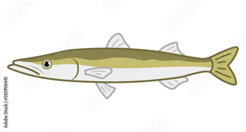 カマス