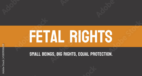 Fetal rights: A 3D ultrasound image of a developing fetus.